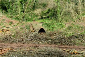 Ein kleiner Tunnel im Wald, umgeben von Bäumen, Pflanzen, Gras und Holzstöcken, mit einem Haufen Holz am Boden und einer Grabkammer in der Mitte.
