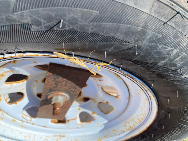 Ein Detailbild eines verrosteten Reifens, umgeben von Gras.