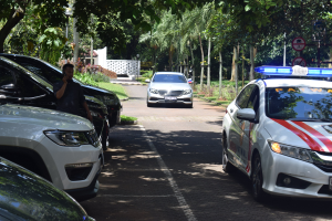 Ein Polizeiwagen am Straßenrand mit anderen Fahrzeugen, eine Person mit einem Mobiltelefon auf der linken Seite und Bäume, Schilder, Pfosten, Pflanzen, Gras und eine Wand im Hintergrund.