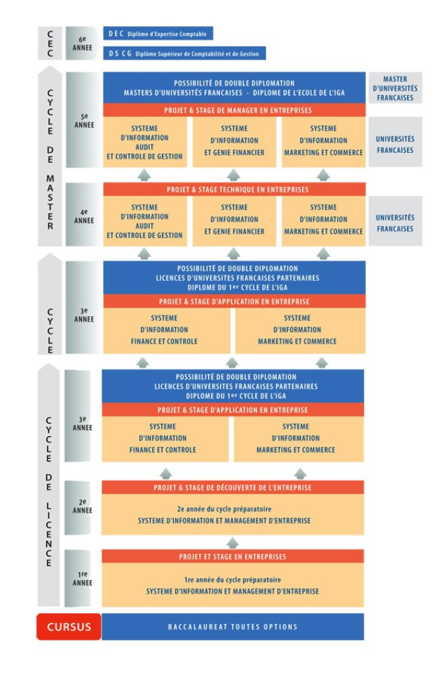 Diagramm, das die Organisationsstruktur eines Unternehmens mit miteinander verbundenen Kästchen darstellt, die verschiedene Phasen des Unternehmenswachstums und der Entwicklung repräsentieren, begleitet von Text, der die Rollen und Verantwortlichkeiten beschreibt.