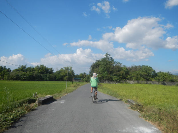 Eine Person mit Helm fährt ein Fahrrad auf einer Straße entlang, die von grünem Gras und Pflanzen gesäumt ist, mit Bäumen, Masten, Dröhren, einer Wand und einem bewölkten Himmel im Hintergrund.