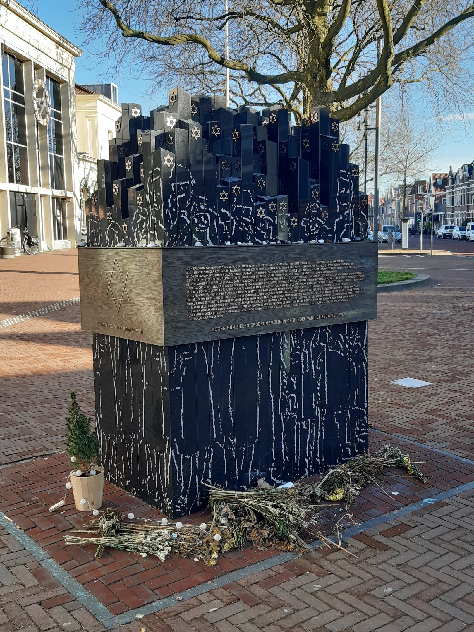 Denkmal in einem Stadtplatz für Holocaust-Opfer, mit einem Baum davor, einem Topfgewächs, verstreuten trockenen Blättern und Gebäuden, Fahrzeugen und Bäumen im Hintergrund.