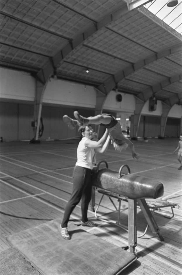 Zwei Personen führen Turnen auf einem Reck in einer Turnhalle durch, mit einigen anderen im Hintergrund und der Decke oben im Bild.