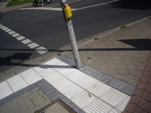 Eine Person auf einem Roller auf einer Straße neben einem Gehweg mit einem Pfahl in der Mitte, ein Fahrrad auf dem Gehweg geparkt und Gebäude, Bäume und Gras im Hintergrund.