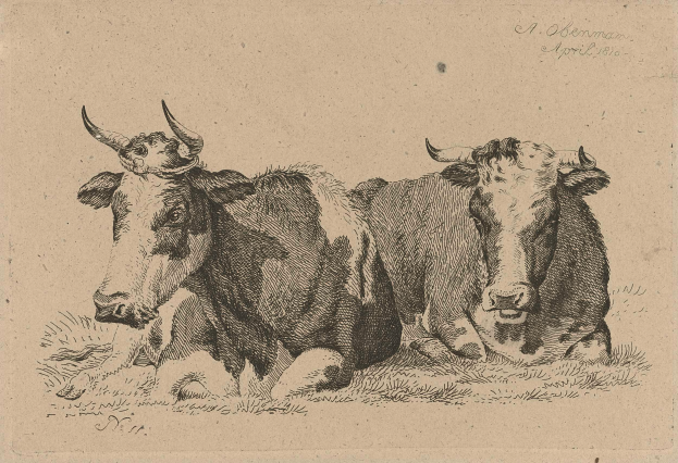 Zwei Kühe liegen auf saftig grünem Gras unter einem strahlend blauen Himmel, mit fetter Schrift auf einem Blatt Papier im Vordergrund.