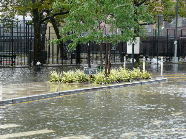 Eine überflutete Straße mit Pflanzen, Bäumen und einer Tafel in der Mitte, umgeben von Wasser, mit einem Zaun, einem Gebäude und anderen Pflanzen im Hintergrund.