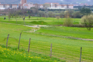 Golfplatz mit saftig grünem Rasen, hohen Bäumen, gelben Blumen im Vordergrund, Gebäuden und klarem blauem Himmel im Hintergrund sowie Menschen, die Golf spielen.