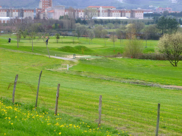 Golfplatz mit saftig grünem Rasen, hohen Bäumen, gelben Blumen im Vordergrund, Gebäuden und klarem blauem Himmel im Hintergrund sowie Menschen, die Golf spielen.
