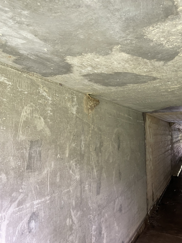 Ein langer, schimmelbedeckter Gang mit einer Betonwand und -decke, der einige Gegenstände auf dem Boden rechts zeigt.