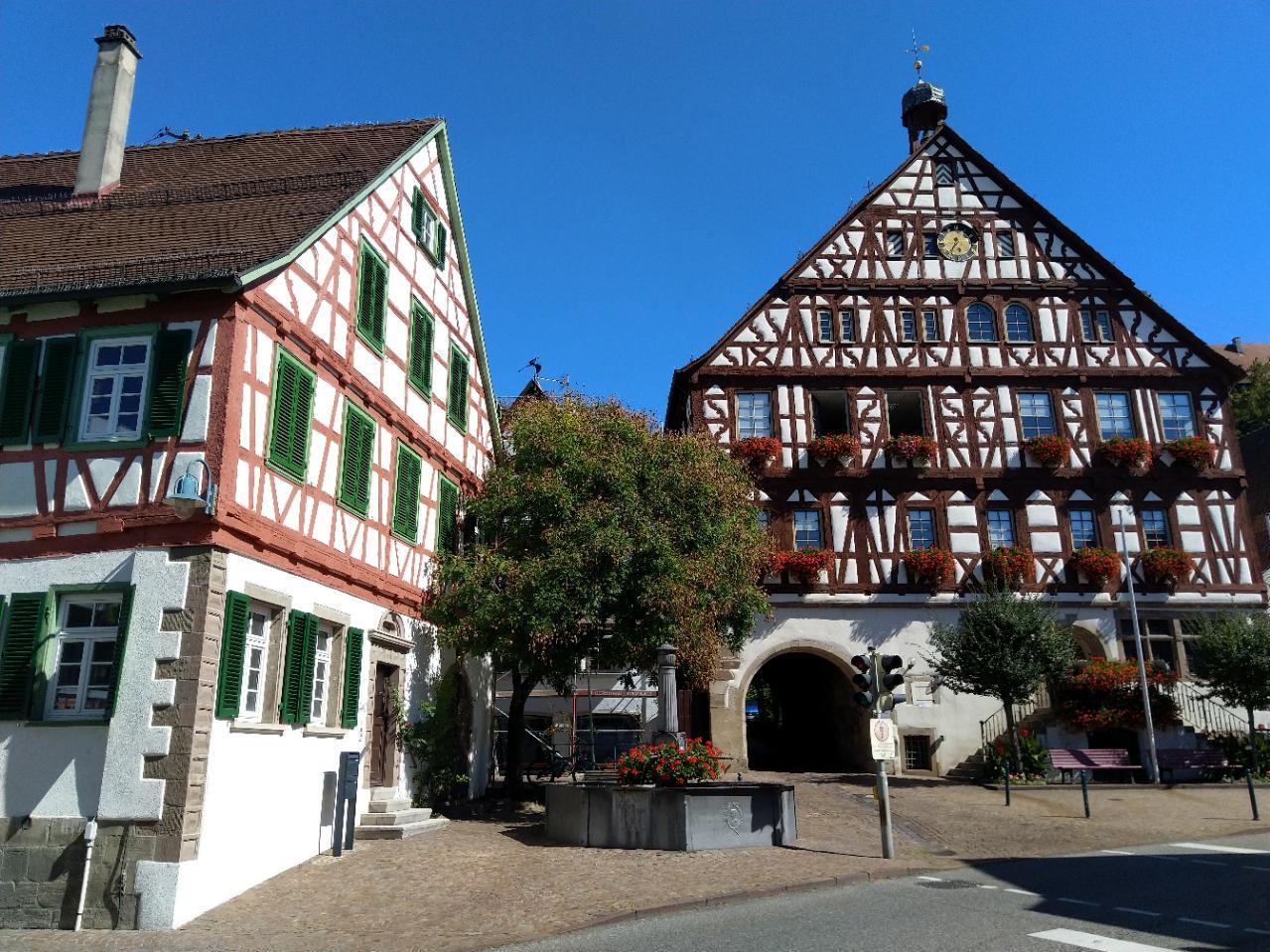 Ein Fachwerkhaus mit grünen Fensterläden in Rothenburg ob der Tauber, Deutschland, umgeben von Bäumen, Pflanzen und anderen Gegenständen, mit einer Straße und Himmel im Hintergrund.
