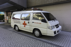 Schwerer Unfall in Lebenstedt: Einsatzkräfte retten eingeklemmte Frau