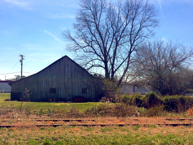Eine Weide mit einem Pfad, Bäumen, Häusern, einem Pfahl und dem Himmel im Hintergrund.