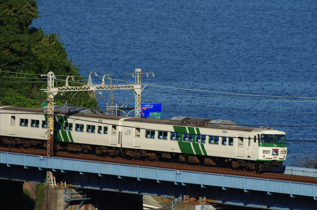 Ein Zug überquert eine Brücke mit Strommasten und -leitungen daneben, Bäume links und ein Gewässer im Hintergrund.