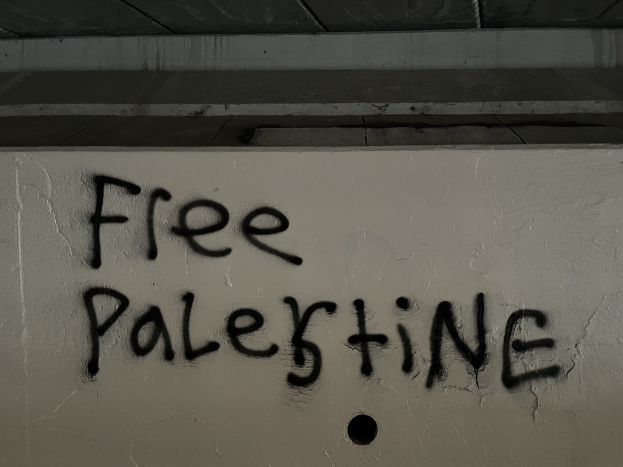 Schwarze Graffiti-Schriftzug 'free palestine' an einer Wand, beleuchtet von einem Licht oben.