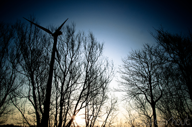 Eine Windmühle vor trockenen Bäumen und einem blauen Himmel im Hintergrund.