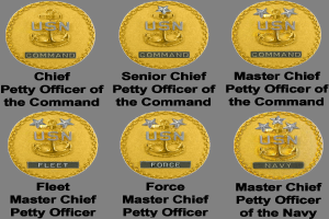 Sechs Goldmünzen mit den Namen des Petty Officer of the Command eingraviert auf einem weißen Hintergrund.
