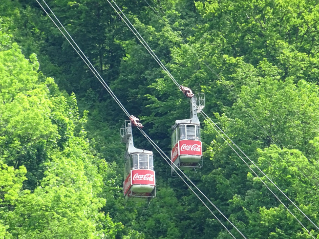 Zwei Seilbahnen mit der Aufschrift "SEILBAHN" fahren einen bewaldeten Berghang hinauf.