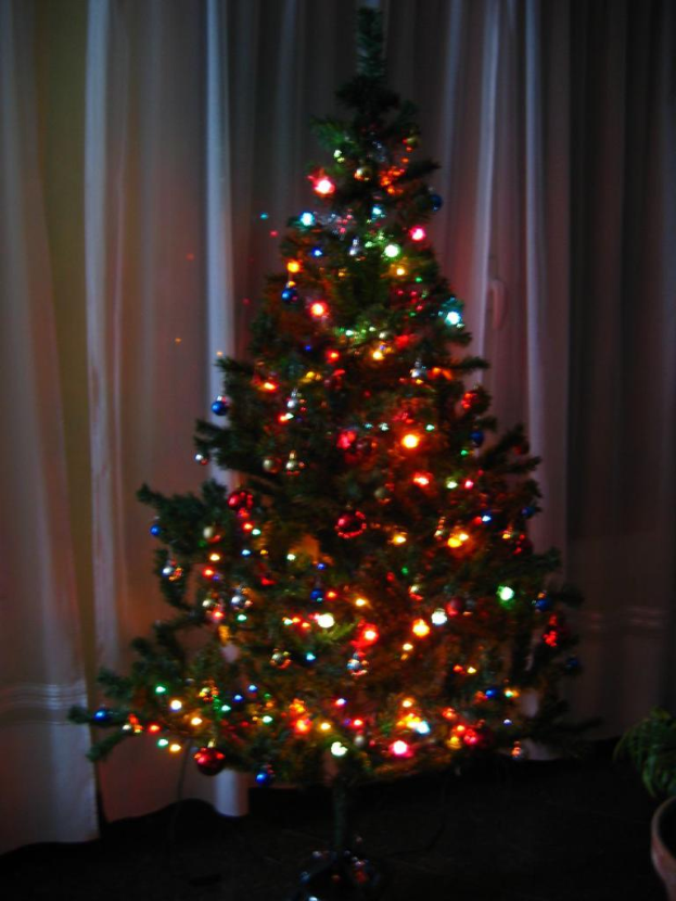 Ein mit Lichtern geschm├╝ckter Weihnachtsbaum mit einem Vorhang und einer Topfpflanze im Hintergrund.