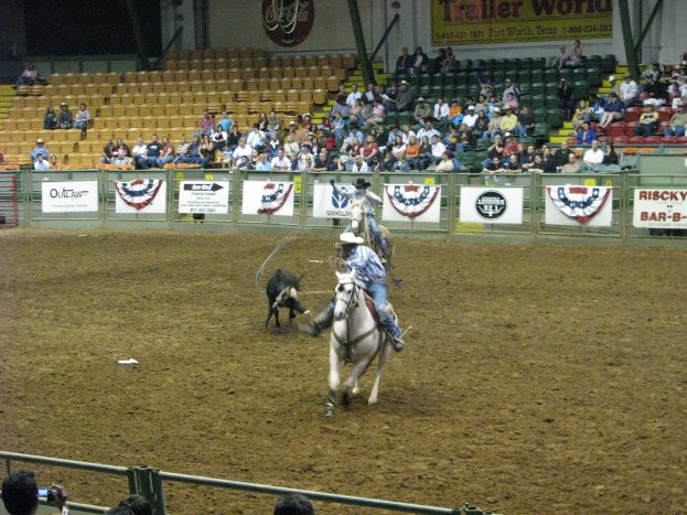 Zwei Personen zu Pferd mit einem weiteren Tier am Boden, eine Absperrung mit Fahnen und Zuschauer auf Sitzplätzen.