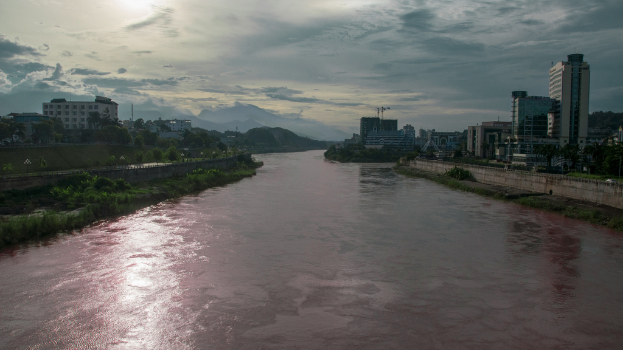 Ein breiter Fluss mit zahlreichen Gebäuden und Pflanzen an seinen Ufern.