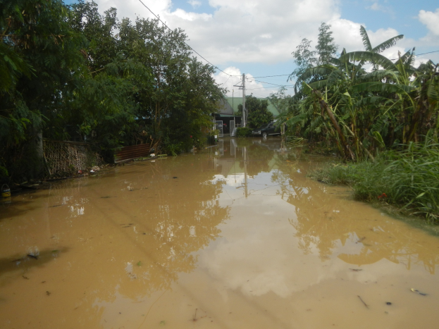 Eine überflutete Landstraße mit Wasser auf der Straße, umgeben von Pflanzen und Bäumen, einem parkenden Auto auf der rechten Seite und Häusern, Pfählen und Drähten im Hintergrund unter einem bewölkten Himmel.