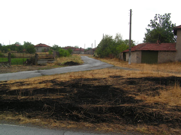 Ein Wohngebiet mit Häusern, Bäumen, Pflanzen, trockenem Gras und Strommasten.
