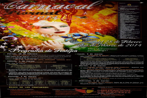 Eine Frau in einem bunten Kleid, die lächelt, umgeben von der Schrift "Carnaval Festival 2014" in fetter schwarzer Schrift auf einem leuchtend gelben Hintergrund.