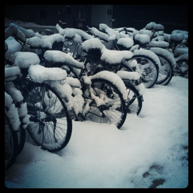 Mehrere Fahrräder liegen auf dem Boden, alles bedeckt von Schnee.